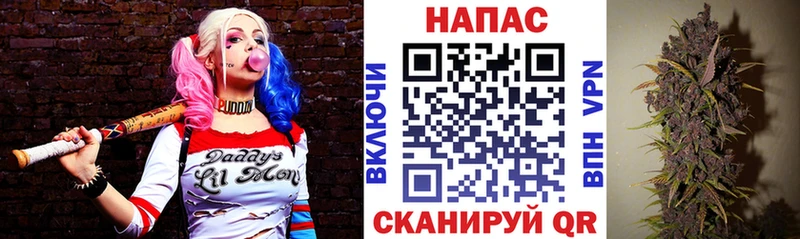 Купить наркотик Новосибирск Гашиш  Бошки Шишки  Кокаин  Амфетамин  Мефедрон 