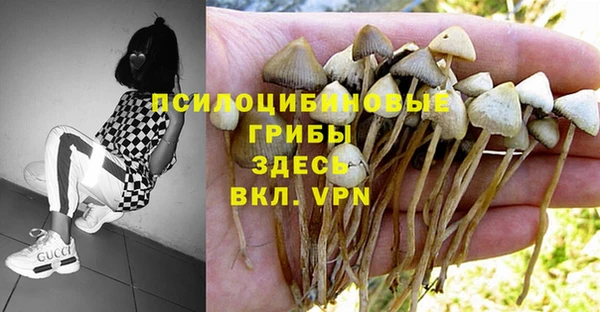 марихуана Вяземский