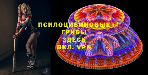 крисы Вязники
