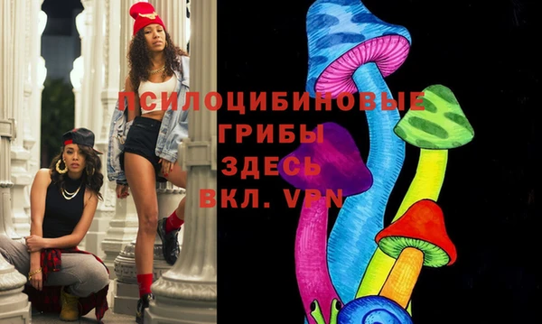 крисы Вязники