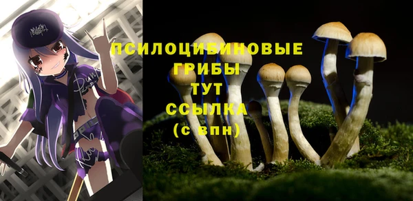 марихуана Вяземский